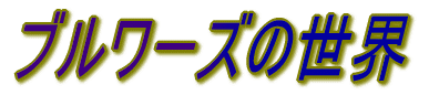 W[[O̐E